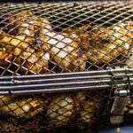 this photo shows chicken drumstick on a spit rotisserie basket